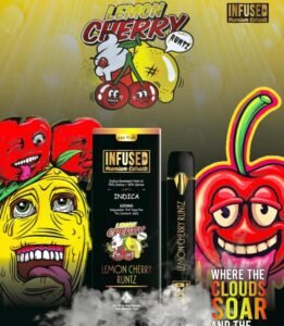 1200MG Infused Premium Extract Vapes, disposable thc vape pen, disposable thc vape pen california, can you take a disposable thc vape pen on an airplane, how to use a disposable thc vape pen, disposable thc vape pen netherlands, best disposable thc vape pen reddit, disposable thc vape pen south africa, disposable thc vape pen australia, how long does disposable thc vape pen last, cookies disposable thc vape pen, ghost disposable thc vape pen, disposable thc vape pen near me, best disposable thc vape pen canada, disposable thc vape pen worldwide shipping, pre filled disposable thc vape pen, disposable thc vape pen wholesale, blue dream flavor disposable thc vape pen price, buy disposable thc vape pen online, best disposable thc vape pen