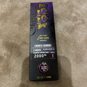 Crunch Berries 1010 Disposable Vape Pen – 2g UK Edition